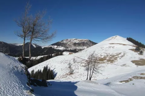 Zahomec desno z Ojstrnikom v ozadju. Foto: Jelena Justin / Foto: Jelena Justin