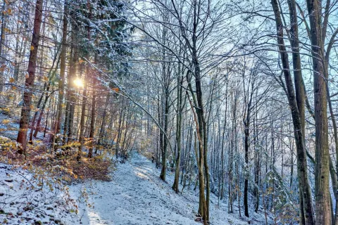 Konec meseca novembra je bila pot na Tromejnik prijetno zimska. / Foto: Jelena Justin