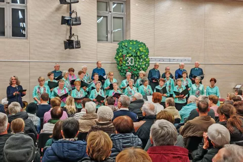 Tridesetletnico delovanja je Mešani pevski zbor Društva upokojencev za Selško dolino praznoval z jubilejnim koncertom v kulturnem domu v Železnikih. / Foto: Arhiv Zbora