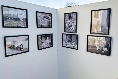 Letos so razstavili fotografije, povezane s kmečkimi opravili in konji. / Foto: Peter Šalamon