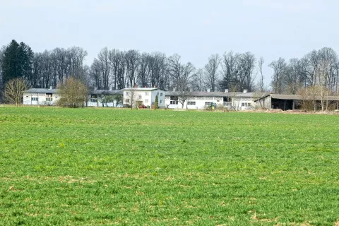 V času sodnega postopka je 436 hektarjev državnih zemljišč obdeloval dosedanji zakupnik KŽK, 194 hektarjev pa kmetje, ki so dobili zemljišča v obdelavo z začasno odredbo sodišča. / Foto: Tina Dokl