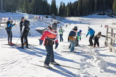 V akciji letos sodeluje že več kot 150 osnovnih šol iz vse Slovenije; tek na smučeh je namenjen drugo- in tretješolcem, alpsko smučanje pa učencem tretjih in četrtih razredov. / Foto: Tina Dokl