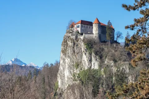 Lani je Blejski grad obiskalo 146.041 domačih in 294.036 tujih gostov. / Foto: Tina Dokl