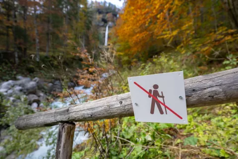 Le skupaj lahko uspešno (ob)varujemo naravo, od katere smo v resnici vsi odvisni. / Foto: Nik Bertoncelj