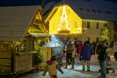 Alpska vasica Kranjska Gora center / Foto: Nik Bertoncelj