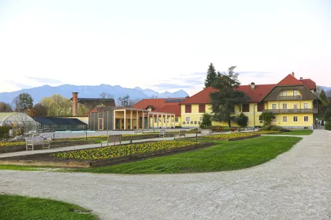 V arboretumu so začeli izvajati energetske sanacije izbranih objektov. / Foto: Alenka Brun