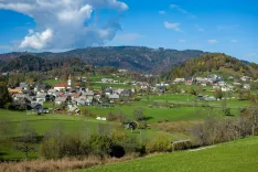 Simbolična fotografija občina Gorje / Foto: Nik Bertoncelj