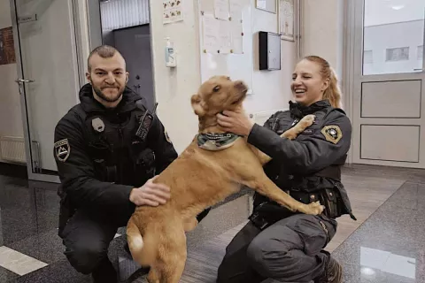 Do prihoda skrbnika se je Eros na škofjeloški policijski postaji spoprijateljil s policistoma. / Foto: Arhiv Pu Kranj