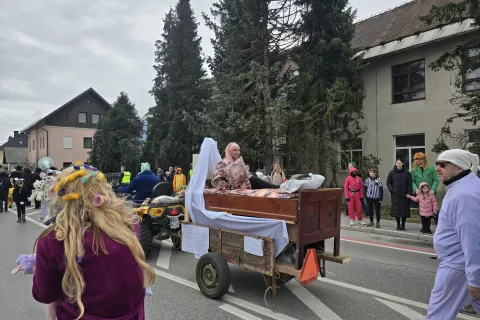 Med bolj zanimivimi skupinskimi maskami so bili Radovljiški zaspankoti / Foto: Marjana Ahačič