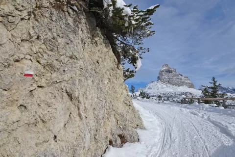 Del udobne mulatjere s pogledom na Tre Cime di Lavaredo. / Foto: Jelena Justin