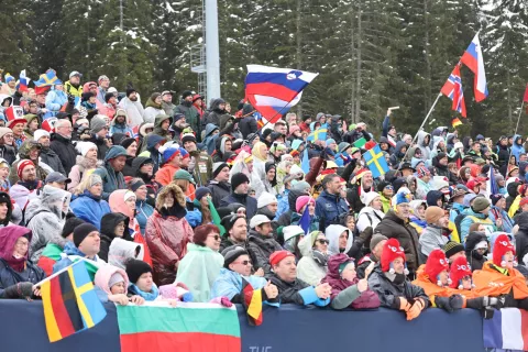 pokljuka splet / Foto: Tina Dokl