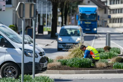 razgled / Foto: Nik Bertoncelj