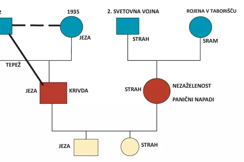 Tri generacije in neizgovorjene zgodbe – genogram kot orodje za razumevanje. Slika je simbolična in ne predstavlja nobene družine. / Foto: Janez Logar