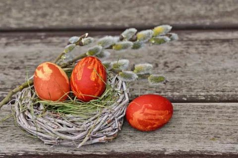 Fotografija je simbolična / Foto: Pixabay