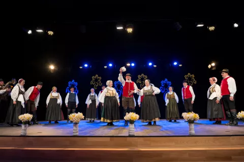 15. večer folklore in 20. obletnica folklore v Cerkljah, Folklorna skupina Cerklje / Foto: Primož Pičulin