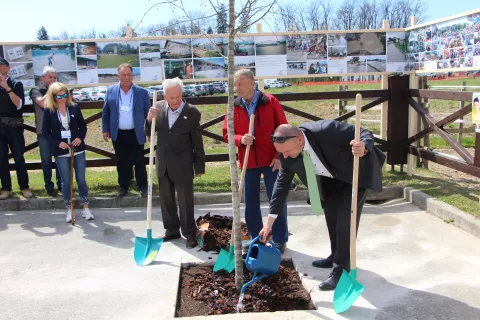 Ob posaditvi spominske lipe: (v ospredju) Marko Zadrgal, Janez Jerovšek in dr. Jože Podgoršek / Foto: Cveto Zaplotnik
