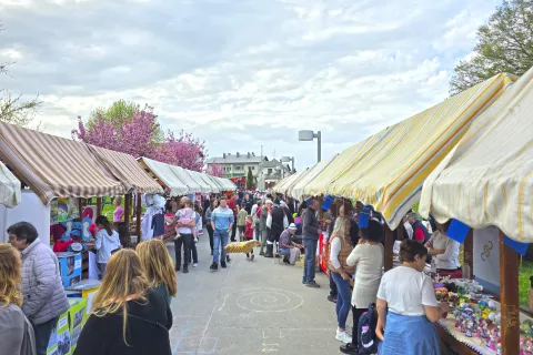 Lepo vreme je na praznovanje privabilo veliko občanov vseh generacij. / Foto: Špela Šimenc