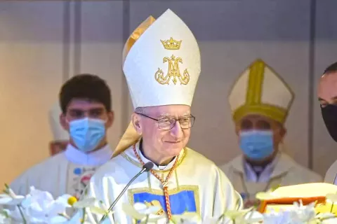 Kardinal in vatikanski državni tajnik msgr. Pietro Parolin med mašo v Marijinem svetišču na Brezjah. / Foto: Jože Košnjek