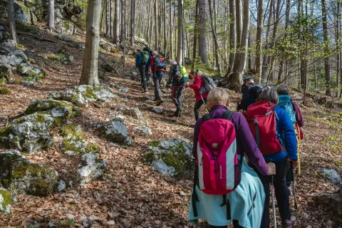 pohod meteorita / Foto: Benjamin Rot