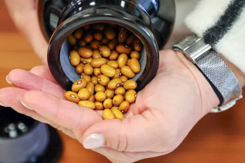 Semenjalnica predstavitev za župane in novinarje Nizki fižol Cekinček občina Radovljica / Foto: Tina Dokl