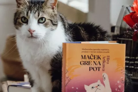 V Layerjevo hišo vas v četrtek vabijo na rpedstavitev knjige Maček gre na pot. / Foto: Arhiv Organizatorja Dogodka