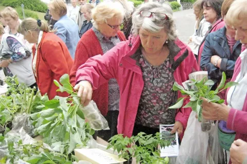 Flancanje je vsako leto dobro obiskano. / Foto: arhiv Gorenjskega glasa