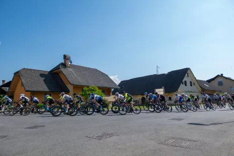 18. KROMPIRJEV POKAL BAM.BI-VOKLO 2024-KOLESARSKA DIRKA / Foto: Primož Pičulin