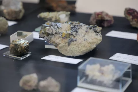 50 MINFOS Tržič / Foto: Tina Dokl