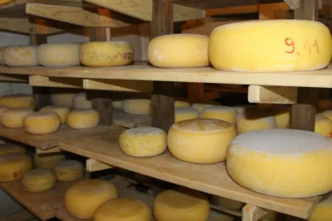 Gorenjska je znana po kakovostnih kmečkih sirih. To kažejo tudi rezultati letošnjega ocenjevanja. Slika je simbolična. / Foto: Cveto Zaplotnik