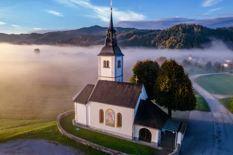 Suška cerkev ima sicer enega najlepših prezbiterijev z zvezdnatim obokom. / Foto: Wikipedia