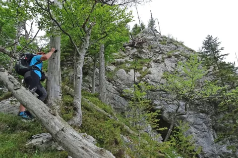 Proti vrhu Belske Kope. / Foto: Jelena Justin