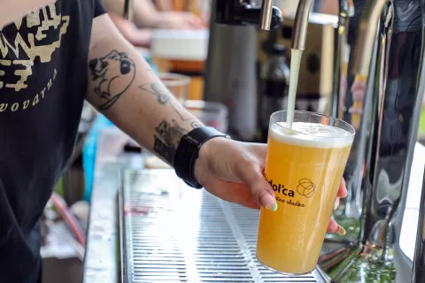 Okusi piva Radovljica 2025 / Foto: Tina Dokl