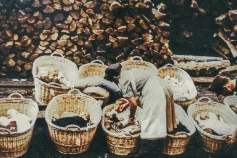 Iz filma Zajeti v izviru. / Foto: Foto: Arhiv Filma