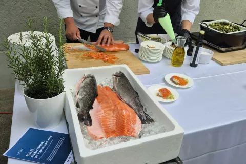 Eden od ciljev projekta je spodbujanje zdravega življenjskega sloga z vključevanjem ribjih jedi v prehrano. / Foto: Ana Jagodic Dolžan