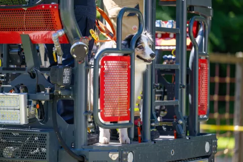 Ragled Potres kranj / Foto: Nik Bertoncelj