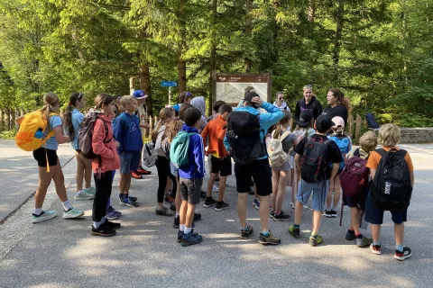 Triglavski narodni park je v začetku junija pripravil tradicionalne Belarjeve dneve, ki se jih je udeležilo okrog osemsto osnovnošolcev. / Foto: Arhiv Tnp