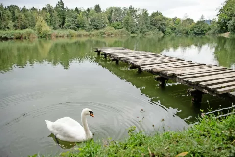 Čukova jama / Foto: Primož Pičulin, arhiv Gorenjskega glasa