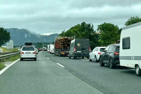 Reševalni pas / Foto: Maša Likosar