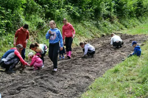 Poseben pečat so dogodku dali otroci, ki so z veliko vnemo posejali sončnice ob progi. / Foto: arhiv Slovenskih železnic