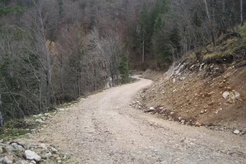 Lastniki gozdov plačujejo pristojbino za vzdrževanje gozdnih cest. Slika je simbolična. / Foto: Cveto Zaplotnik