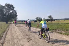 Po makadamski cesti / Foto: Slavko Zupanc