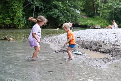 poletje, voda, vročina, živali, pes, ohladitev Kokra / Foto: Tina Dokl