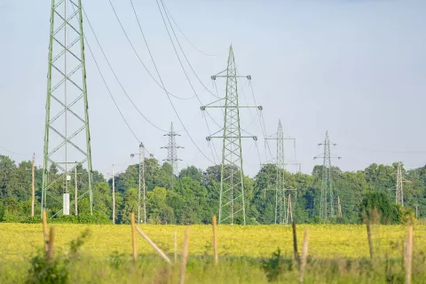 Električni daljnovod na polju / Foto: Nik Bertoncelj