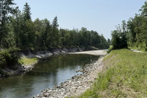 Kamniška Bistrica je podvržena tudi močnemu nihanju pretoka. / Foto: Marjetka Levstek
