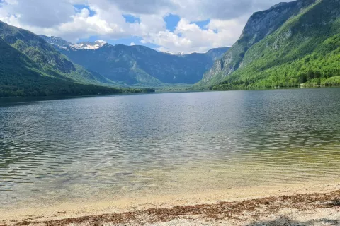 Voda v Bohinjskem jezeru je primerna za kopanje / Foto: Marjana Ahačič