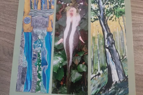 Čuvaji poletnih gozdov / Foto: Igor Kavčič