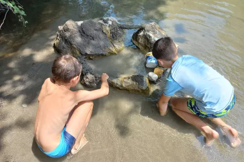 Narava ponuja izkušnje, ki jih nobena naprava ne more poustvariti, poudarjajo v Centru Logout. / Foto: Darja Rant