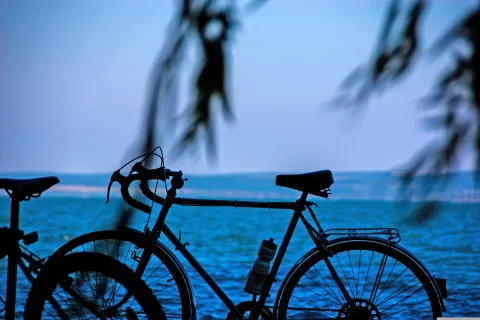 Fotografija je simbolična. / Foto: Pixabay