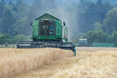 žetev Senica 2025 / Foto: Peter Košenina