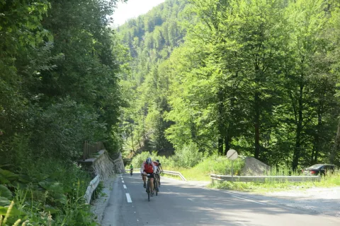 Kolesarska dirka za Zlato čipko je že tradicionalna. / Foto: Vilma Stanovnik